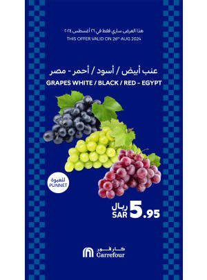 عرض اليوم
