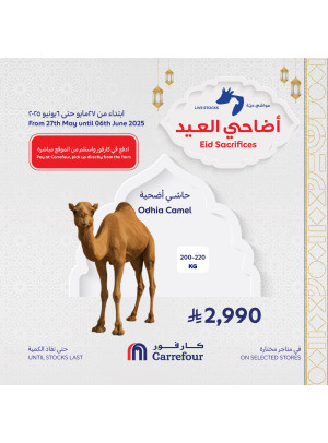 Eid Odhia Offers, Vol 2
