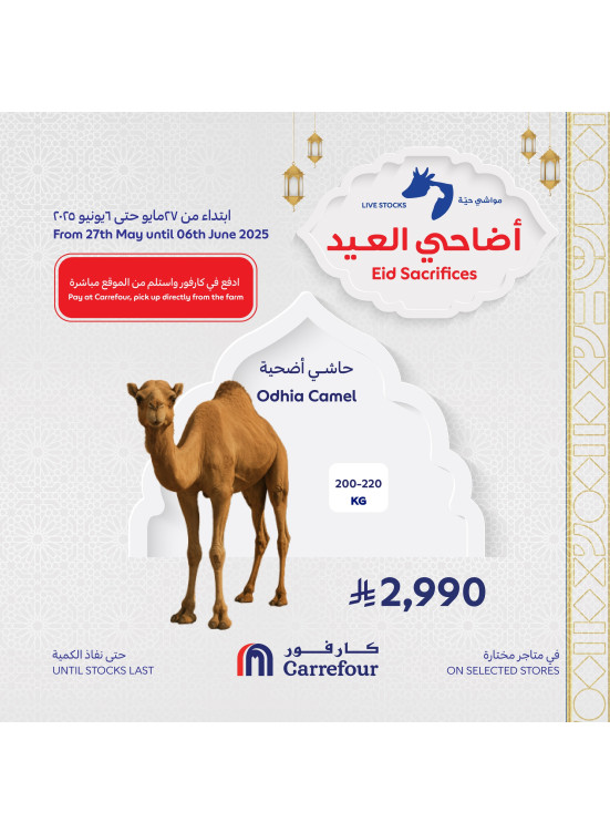 عروض أضاحي العيد، العدد الثاني