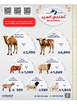 Eid Odhia Offers, Vol 3