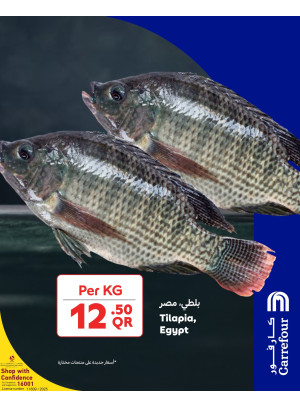 Fresh Offers, Vol 2