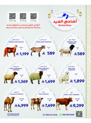 Eid Sacrifices