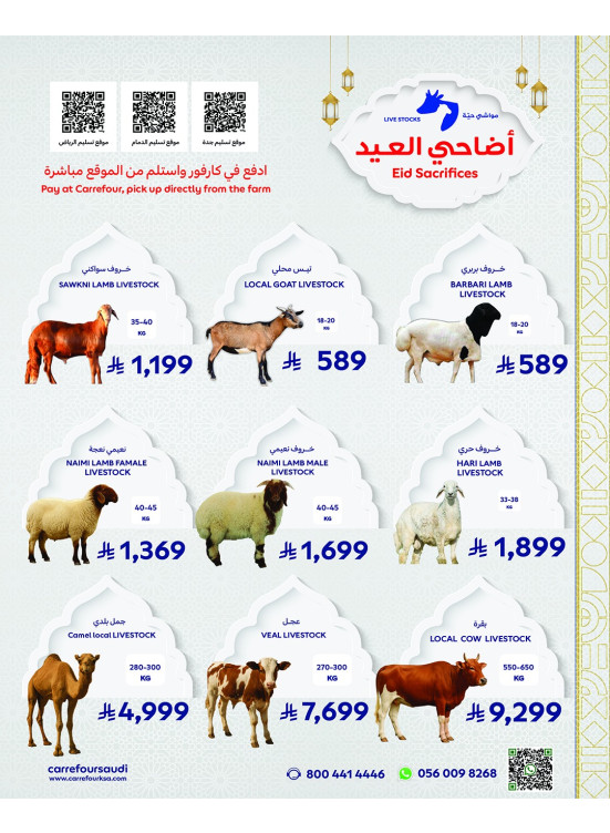 Eid Sacrifices