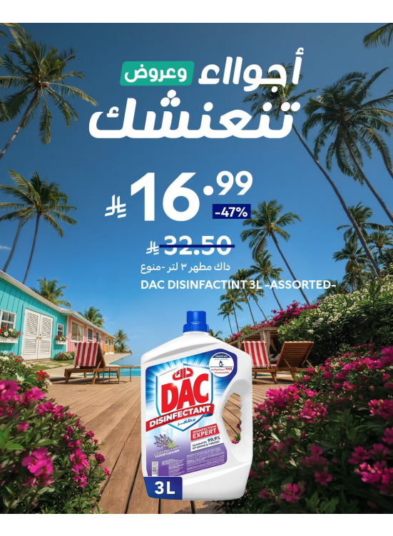 عروض الصيف، العدد الثاني