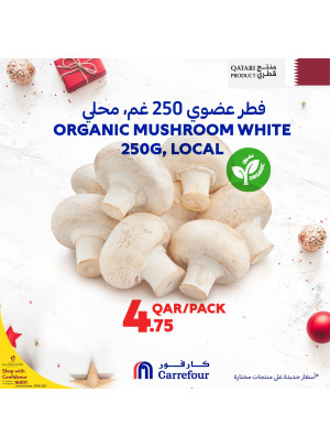 Special Offers