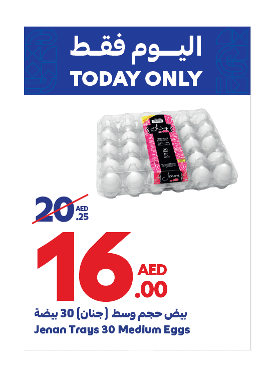 Daily Deals