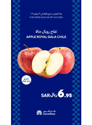 عرض اليوم