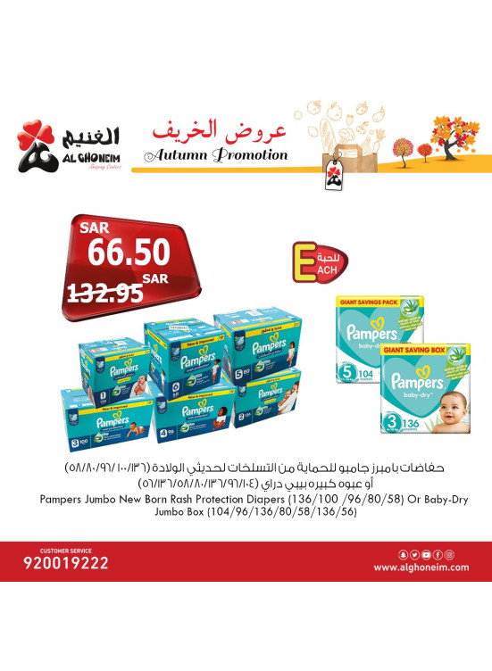 عروض الخريف، العدد السابع عشر