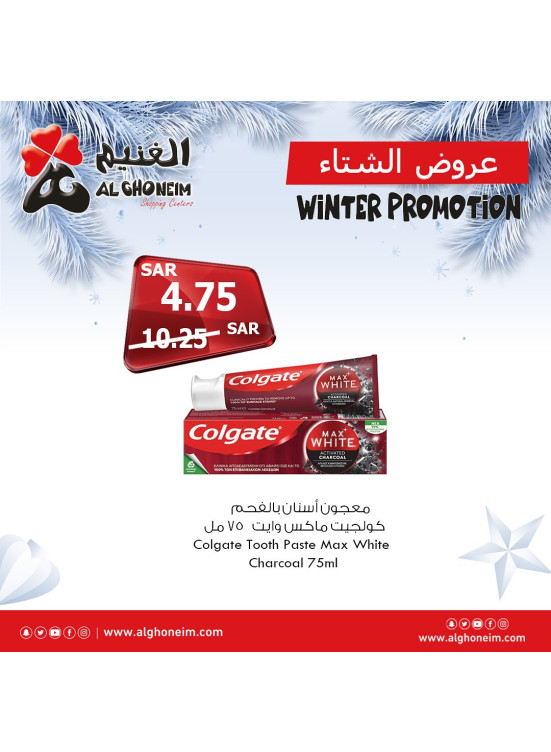 عروض الشتاء، العدد الواحد والعشرون