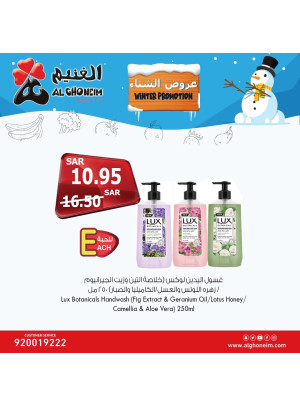 عروض الشتاء، العدد الثاني عشر