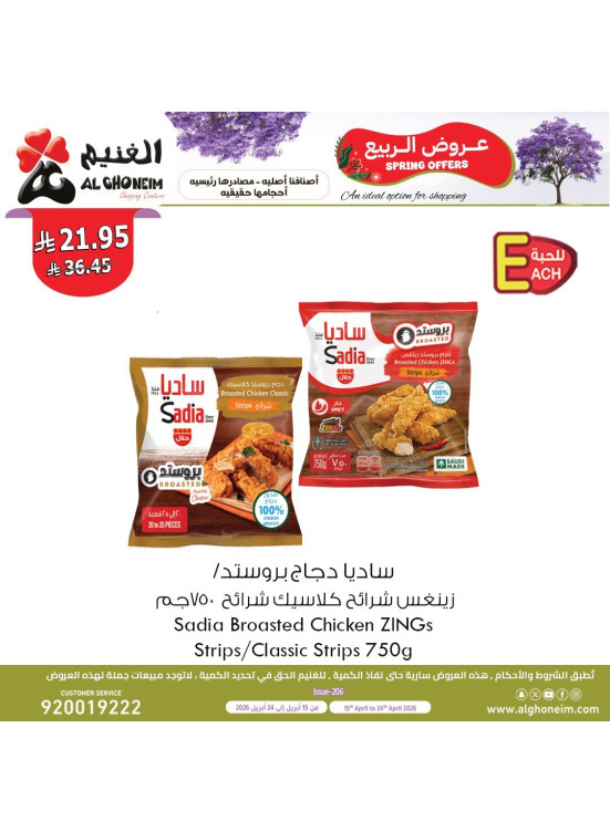 عروض الربيع، العدد الثاني