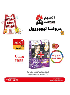 عروض الجملة، العدد الثالث عشر