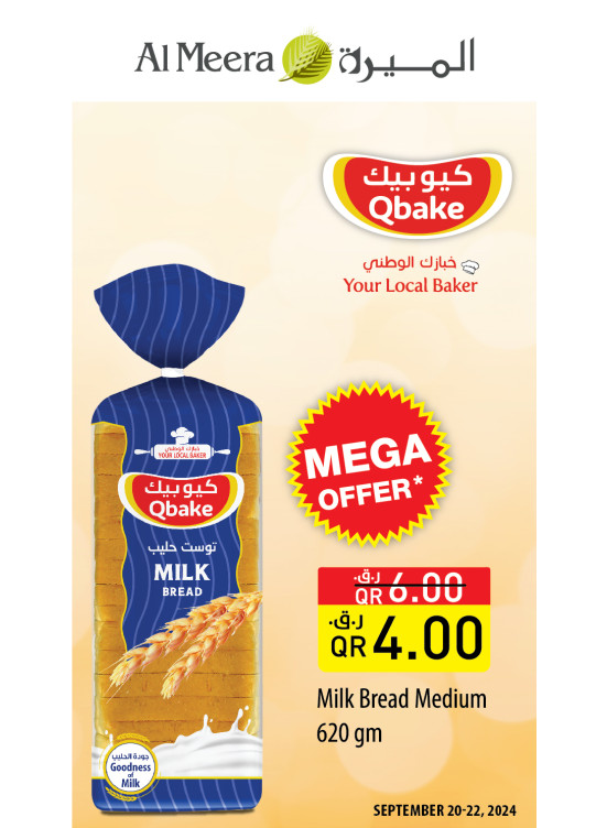Mega Offer