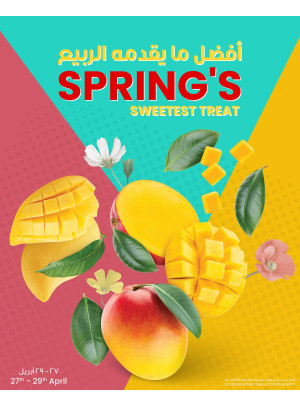 Spring Offer