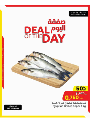 One Day Deal