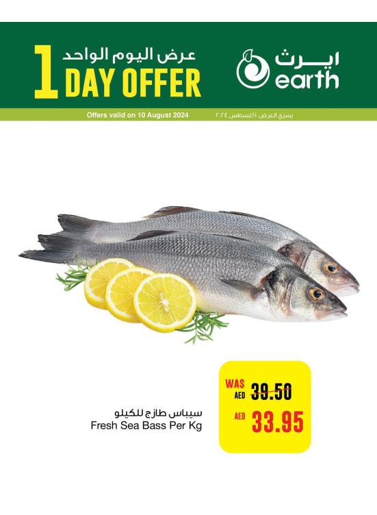 One Day Offer