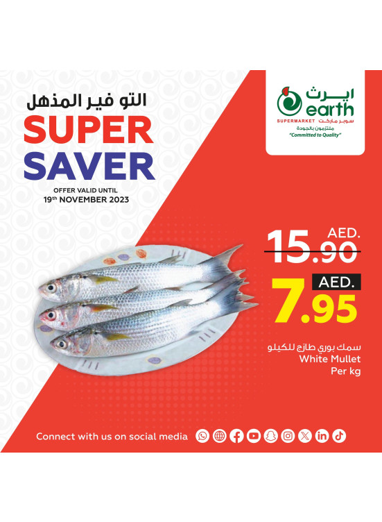 التوفير الكبير