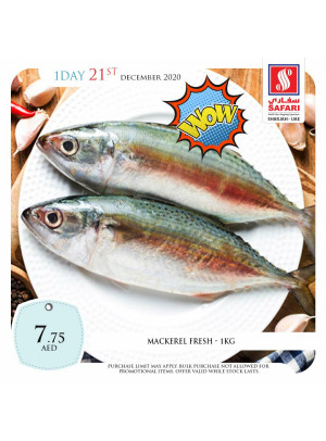 Fresh Fish Offers