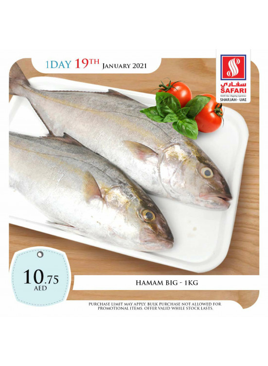 Fresh Offers