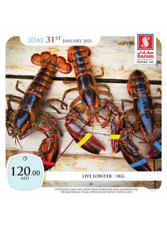 Fresh Offers