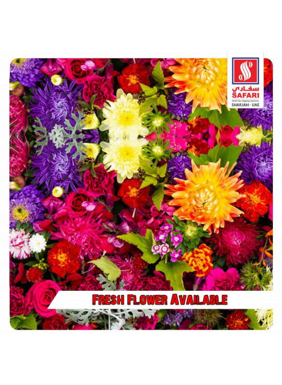 Fresh Offers