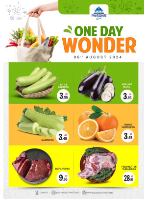 One Day Wonder