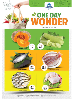 One Day Wonder