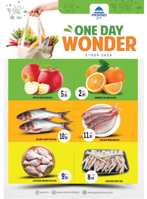 One Day Wonder