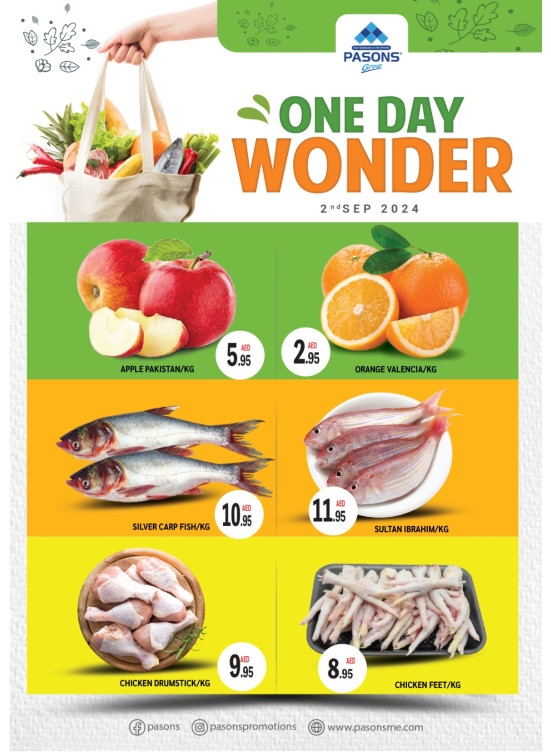 One Day Wonder