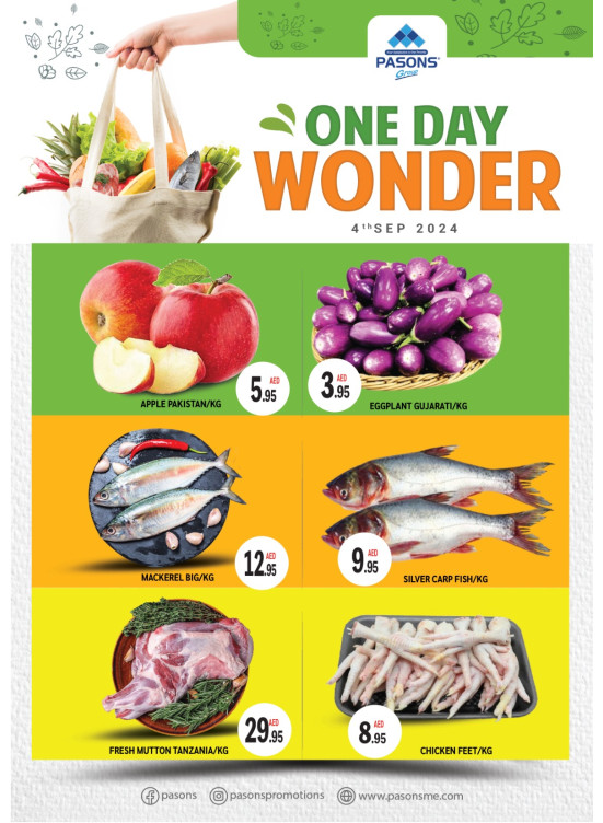 One Day Wonder