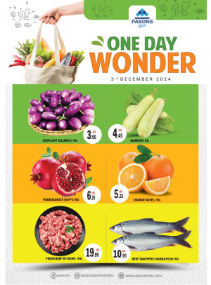 One Day Wonder