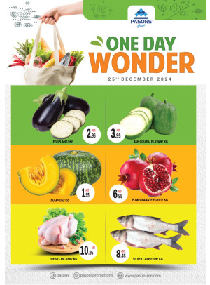 One Day Wonder