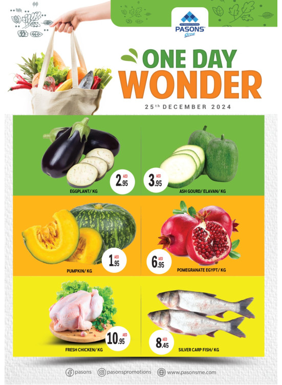 One Day Wonder