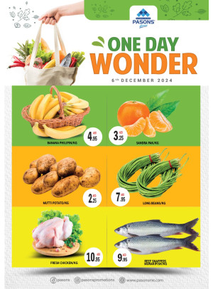 One Day Wonder