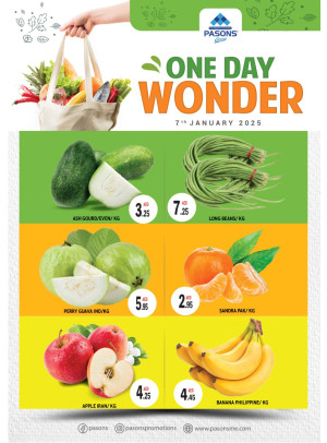One Day Wonder
