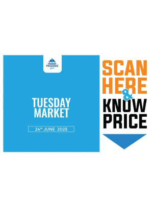 Tuesday Market