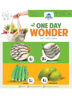 One Day Wonder