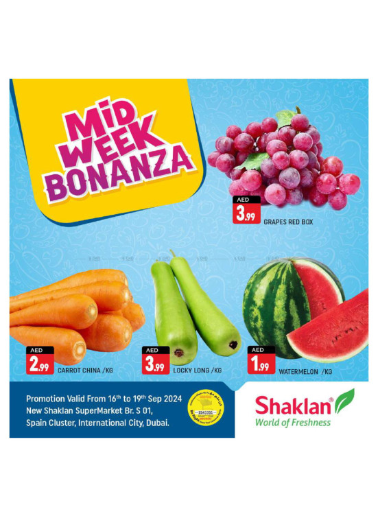 Midweek Bonanza - S01, International City, Spain Cluster