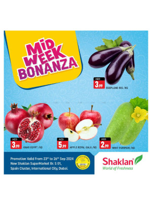 Midweek Bonanza - S01, International City, Spain Cluster