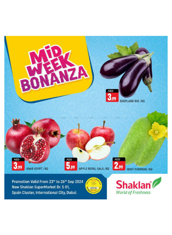 Midweek Bonanza - S01, International City, Spain Cluster