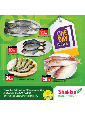 One Day Offers - B02 China Cluster, Dubai