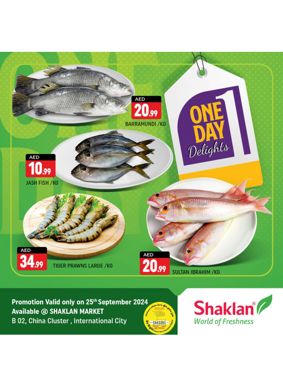 One Day Offers - B02 China Cluster, Dubai