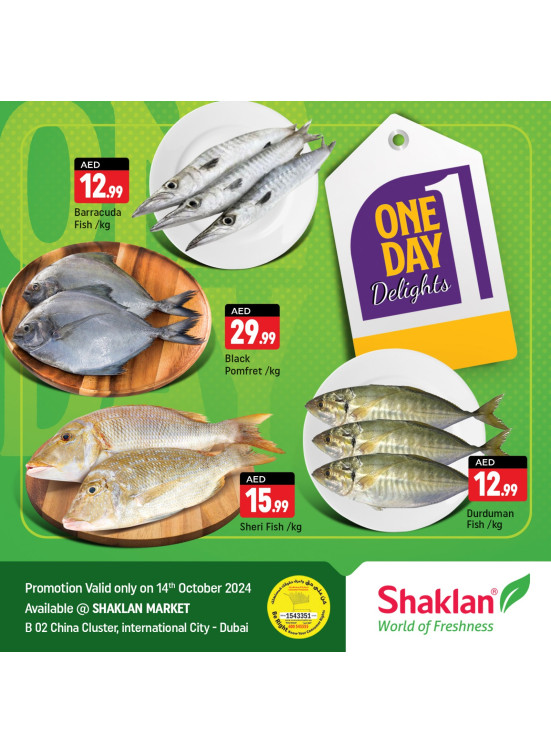 One Day Offers - B02 China Cluster, Dubai