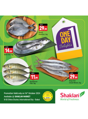 One Day Offers - B02 China Cluster, Dubai