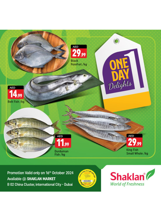 One Day Offers - B02 China Cluster, Dubai