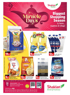 Biggest Shopping Season - V-06, Russia Cluster International City