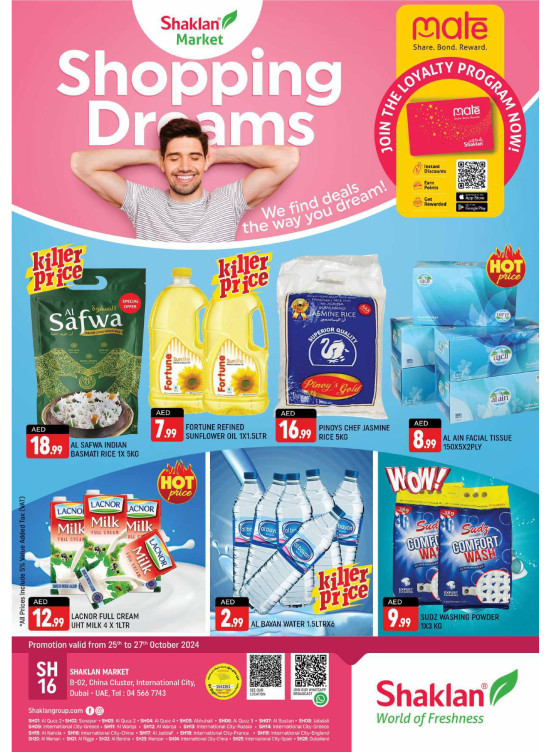Shopping Dreams - B02 China Cluster, Dubai