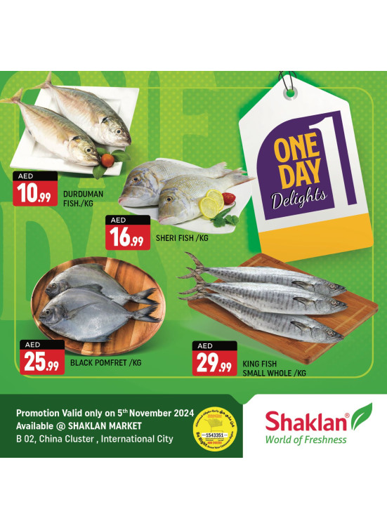 One Day Offers - B02 China Cluster, Dubai