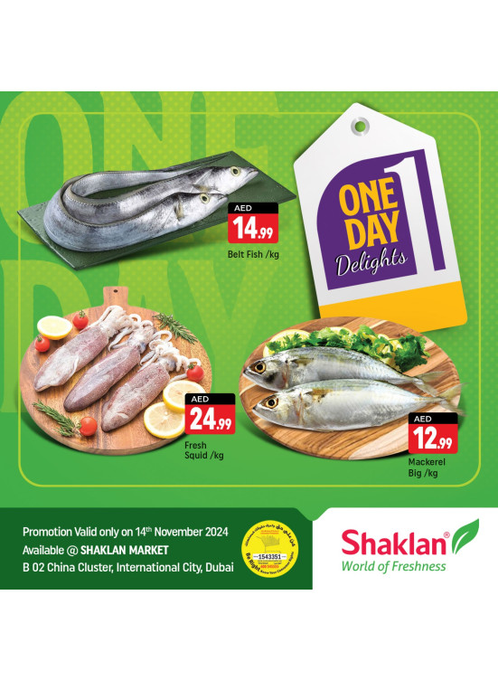 One Day Offers - B02 China Cluster, Dubai