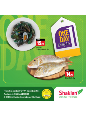 One Day Offers - B02 China Cluster, Dubai